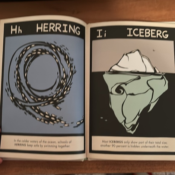 B is for Bear by Hannah Viano alphabet book PNW - Picture 7 of 8